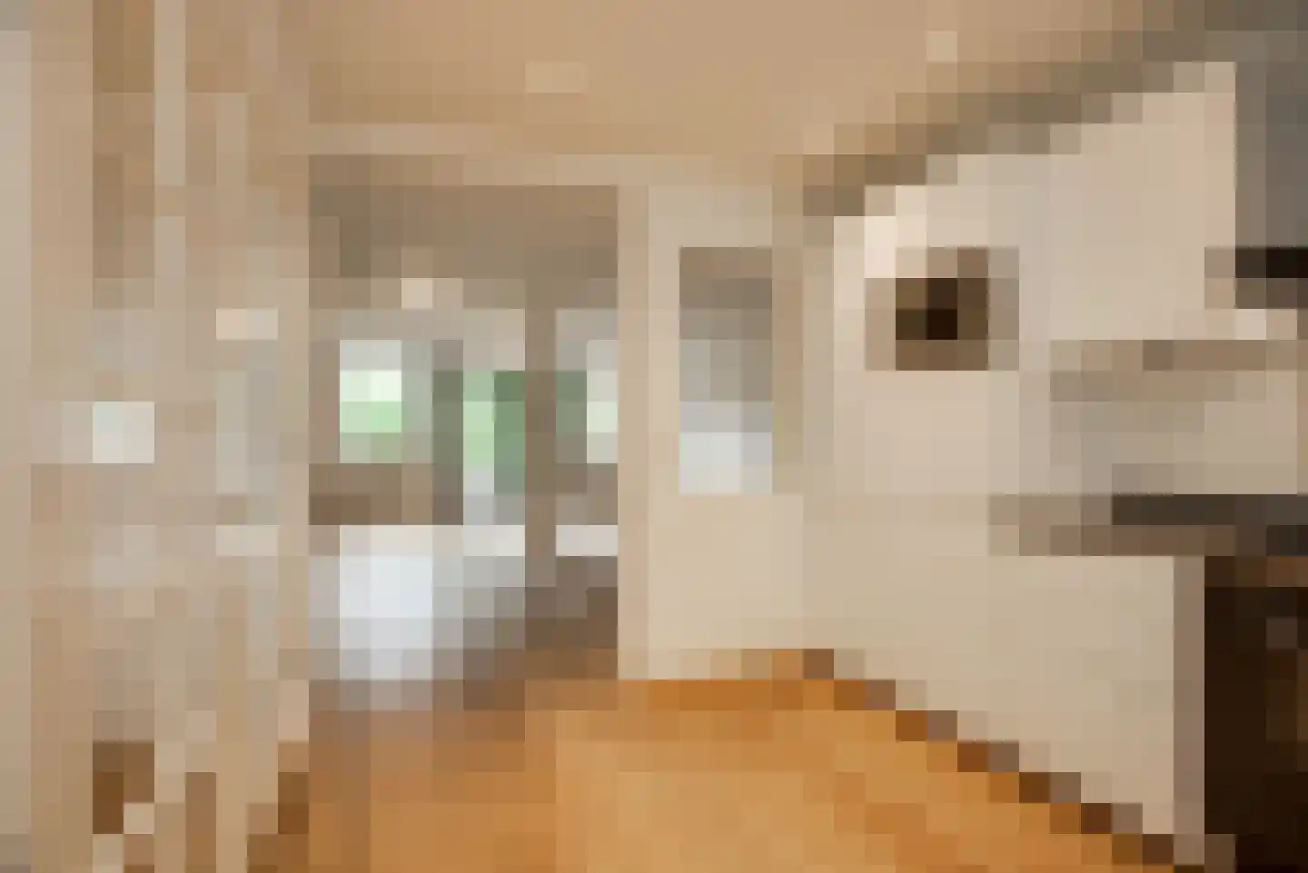 Elzendreef 230 Voorburg thumbnail 10