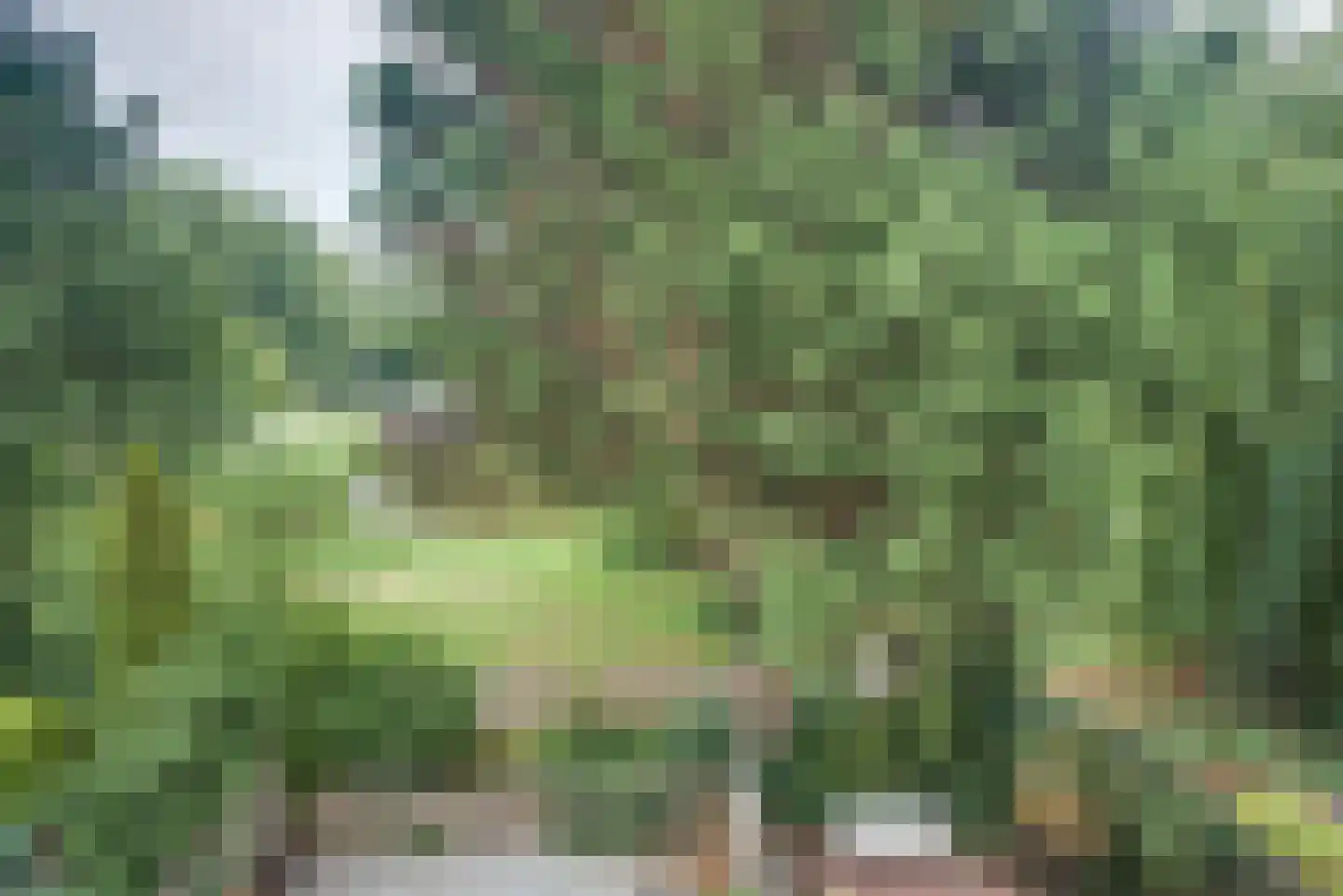 Elzendreef 230 Voorburg thumbnail 27
