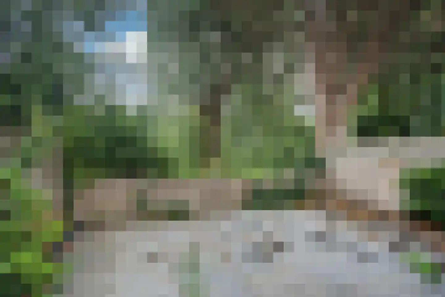 Elzendreef 230 Voorburg thumbnail 28
