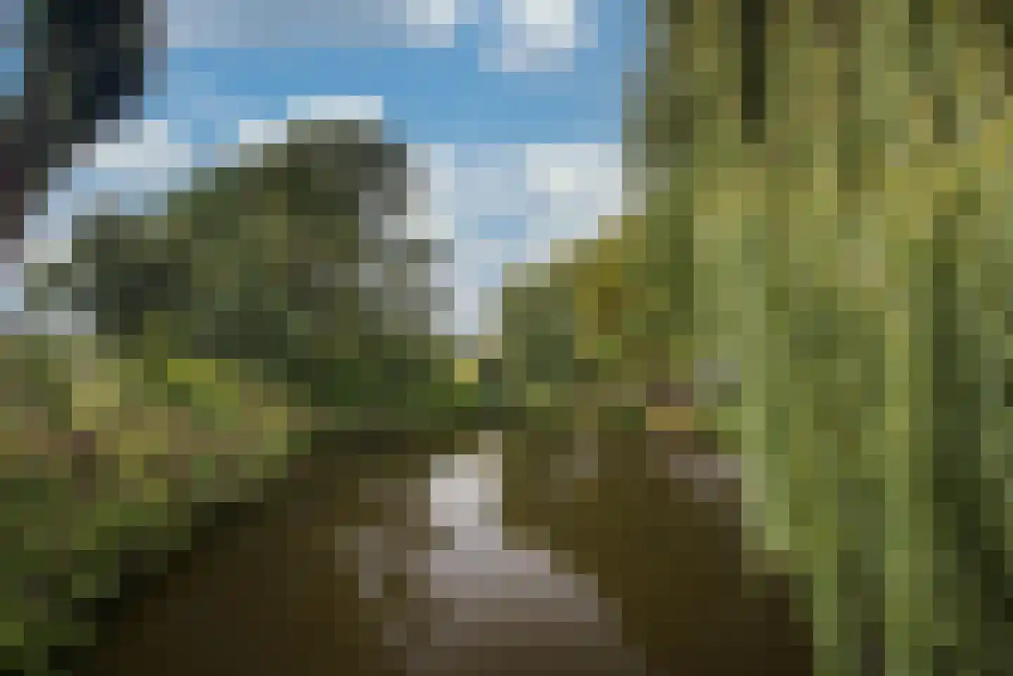 Elzendreef 230 Voorburg thumbnail 30