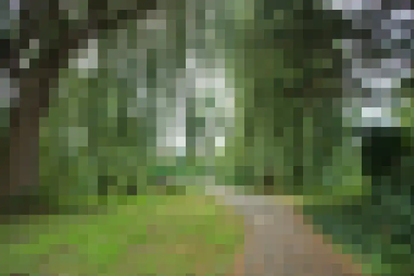 Elzendreef 230 Voorburg thumbnail 31