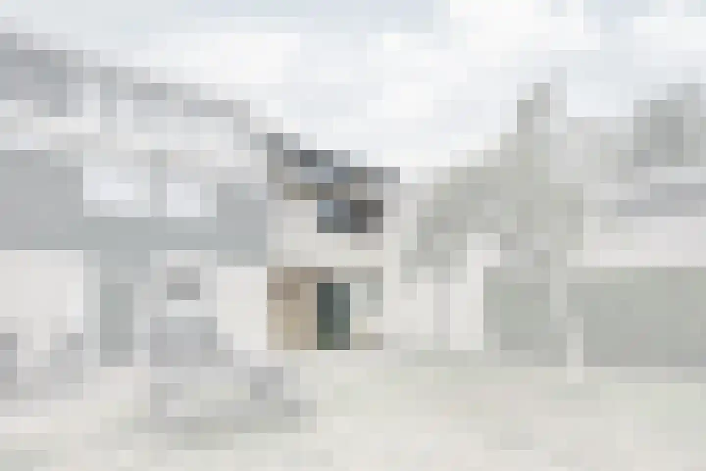 Elzendreef 230 Voorburg thumbnail 6