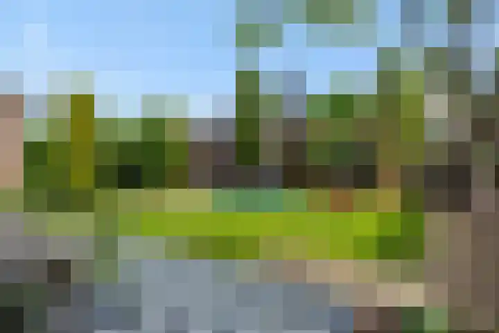 Elzendreef 31 Geffen thumbnail 14