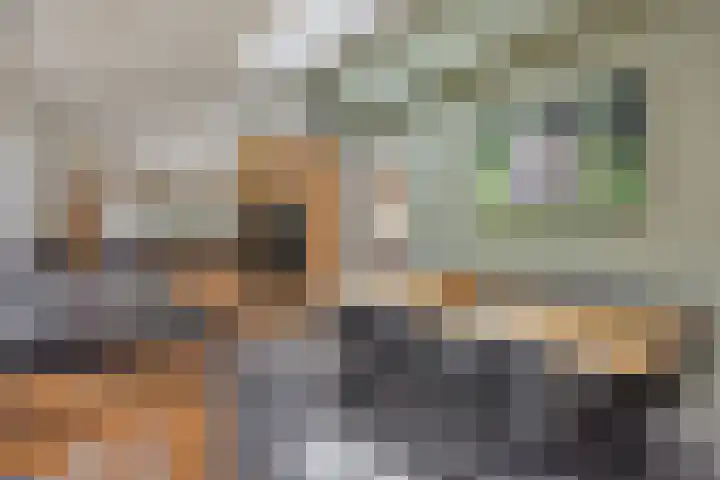 Elzendreef 31 Geffen thumbnail 18