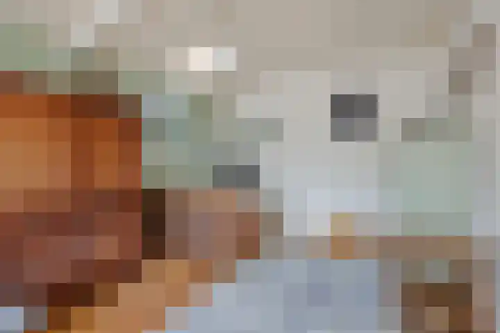Elzendreef 31 Geffen thumbnail 22
