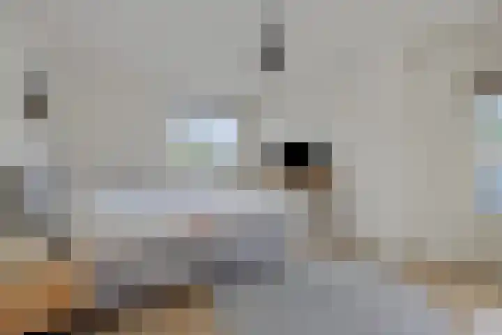 Elzendreef 31 Geffen thumbnail 28