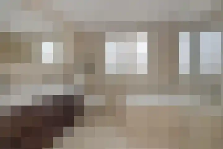 Elzendreef 31 Geffen thumbnail 33