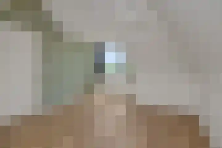 Elzendreef 31 Geffen thumbnail 37