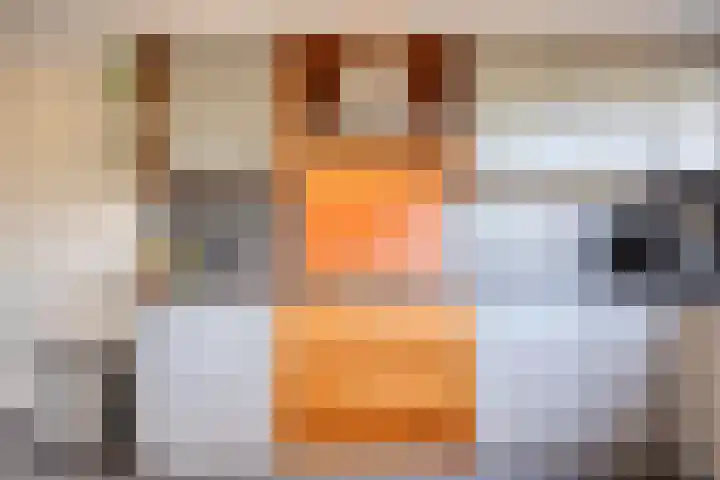 Elzendreef 36 Geffen thumbnail 20