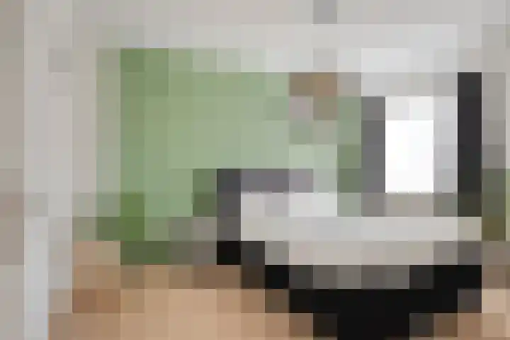 Elzendreef 36 Geffen thumbnail 25