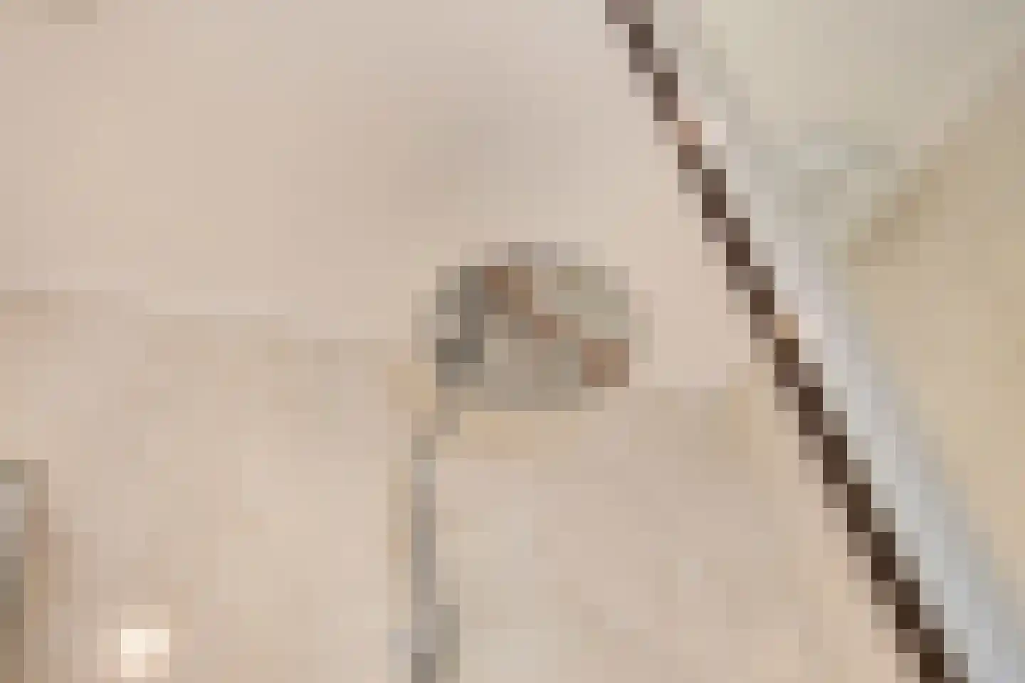 Elzendreef 36 Geffen thumbnail 33
