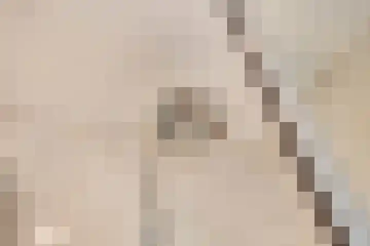 Elzendreef 36 Geffen thumbnail 33