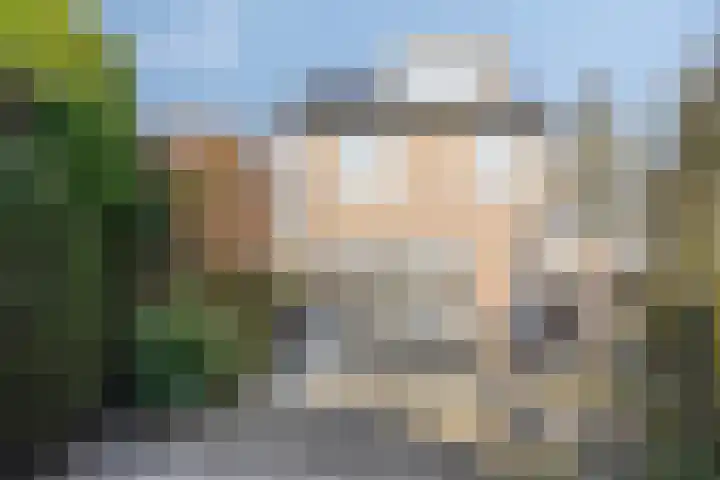 Elzendreef 36 Geffen thumbnail 40
