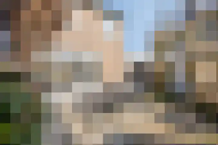 Elzendreef 36 Geffen thumbnail 42