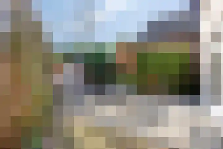 Elzendreef 36 Geffen thumbnail 44