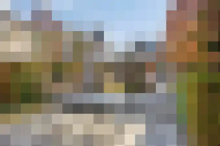 Elzendreef 36 Geffen thumbnail 45