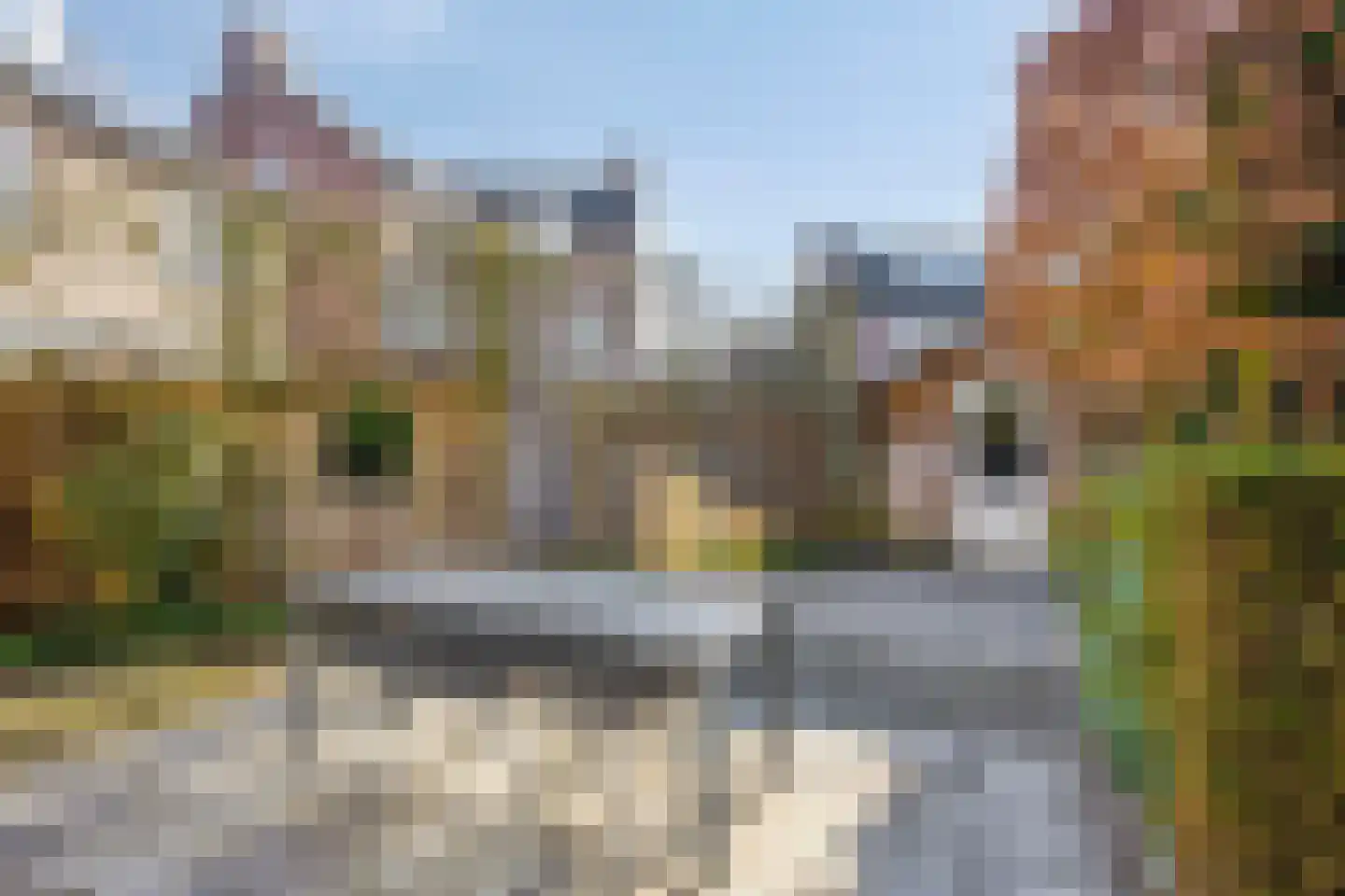 Elzendreef 36 Geffen thumbnail 45