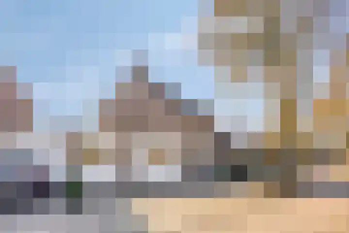 Elzendreef 36 Geffen thumbnail 47