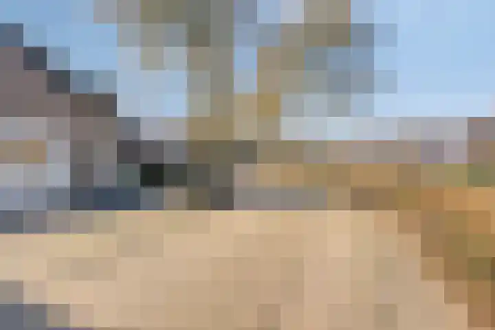 Elzendreef 36 Geffen thumbnail 48