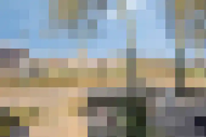 Elzendreef 36 Geffen thumbnail 49