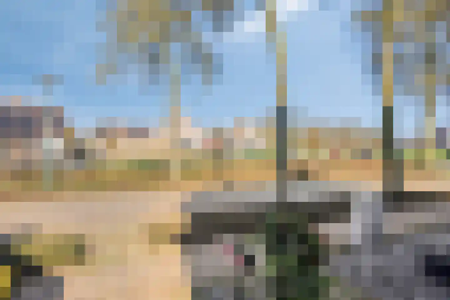 Elzendreef 36 Geffen thumbnail 49