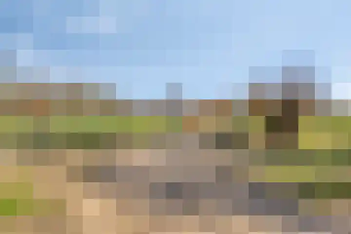 Elzendreef 36 Geffen thumbnail 50