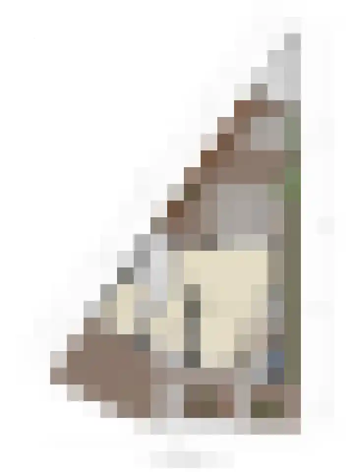 Elzendreef 36 Geffen thumbnail 51