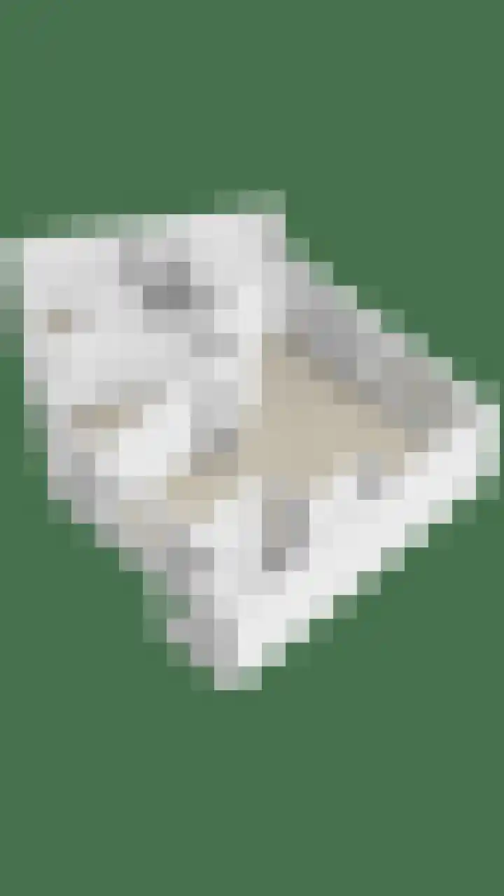 Elzendreef 36 Geffen thumbnail 54