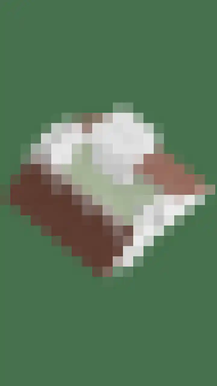 Elzendreef 36 Geffen thumbnail 58