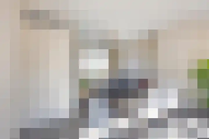 Elzendreef 36 Geffen thumbnail 9