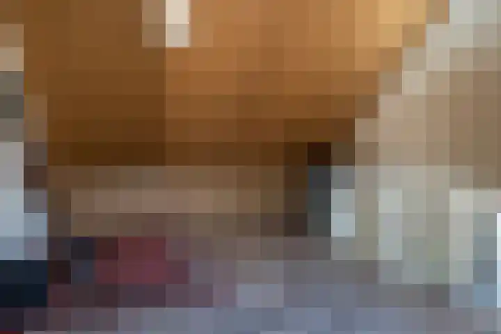 Elzendreef 46 Waspik thumbnail 37