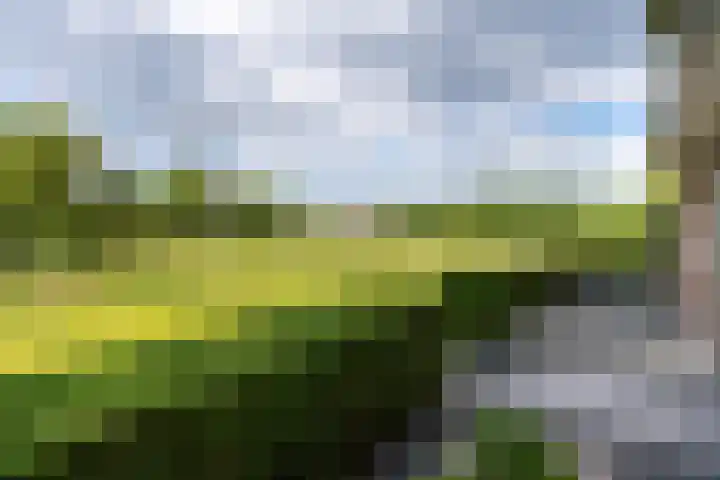 Elzendreef 46 Waspik thumbnail 8