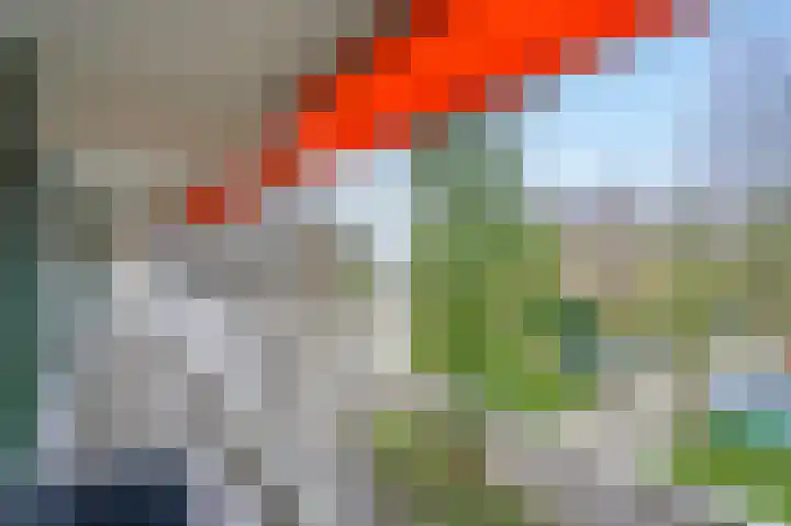 Elzendreef 57 Voorburg thumbnail 29
