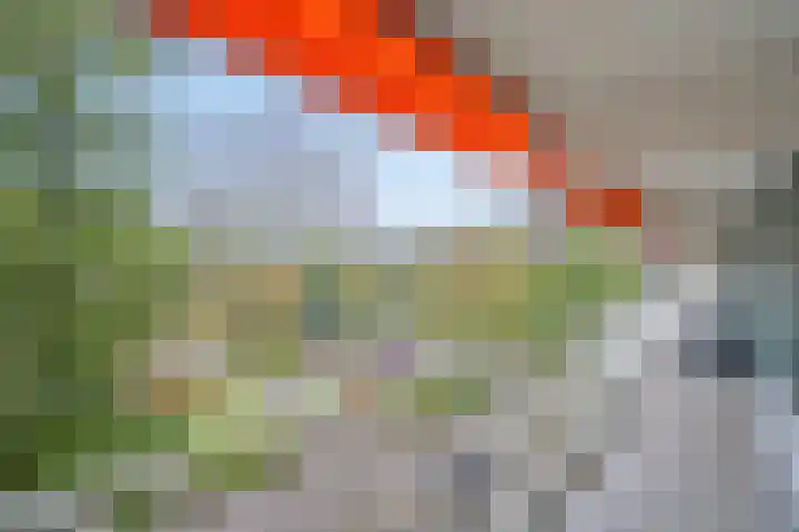 Elzendreef 57 Voorburg thumbnail 30