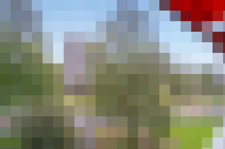 Elzendreef 57 Voorburg thumbnail 31