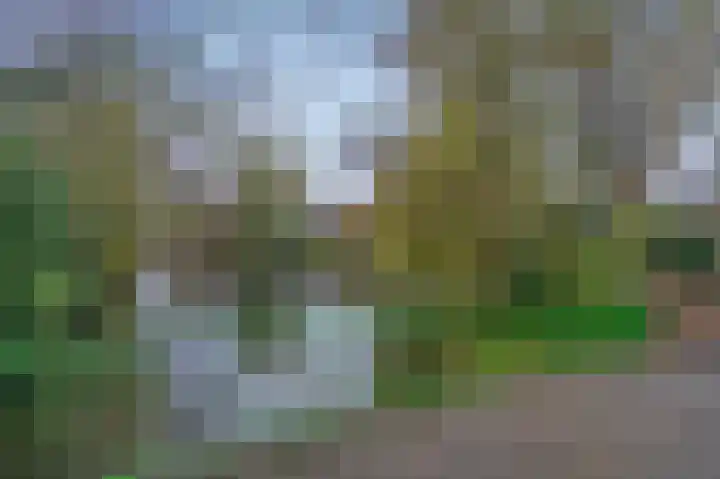 Elzendreef 57 Voorburg thumbnail 39