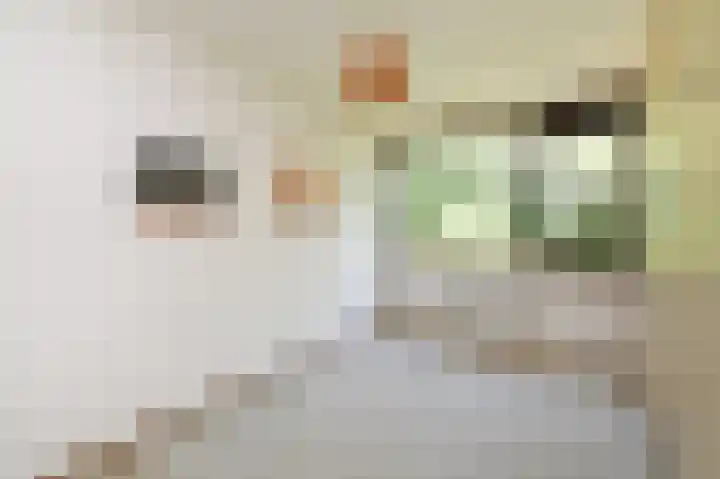 Elzendreef 619 Voorburg thumbnail 17