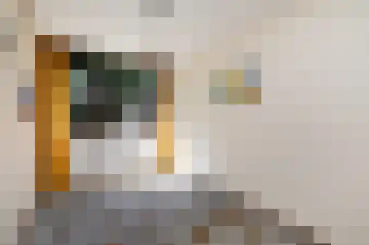 Elzendreef 619 Voorburg thumbnail 18