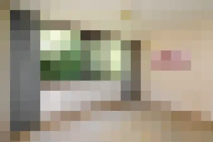 Elzendreef 619 Voorburg thumbnail 19