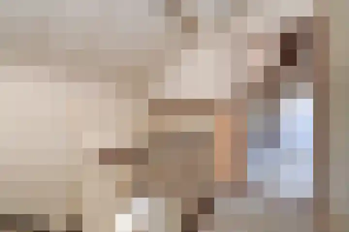 Elzendreef 619 Voorburg thumbnail 23