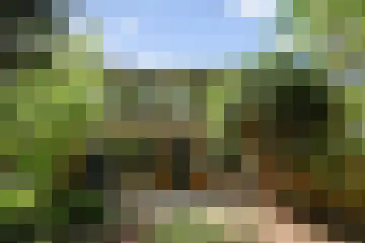 Elzendreef 619 Voorburg thumbnail 26
