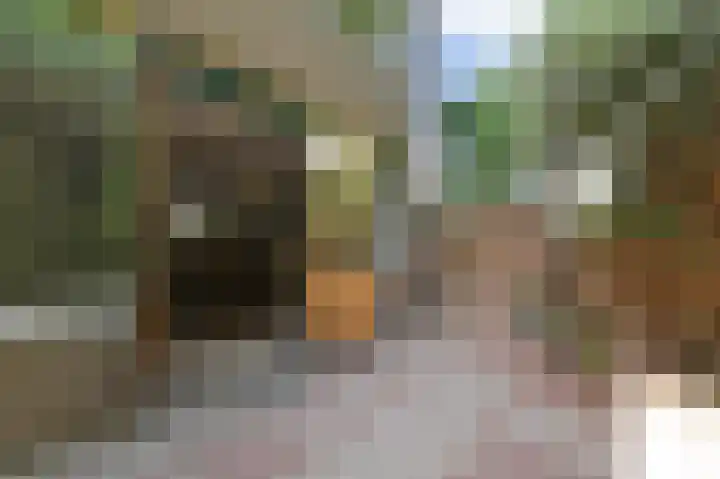 Elzendreef 619 Voorburg thumbnail 27