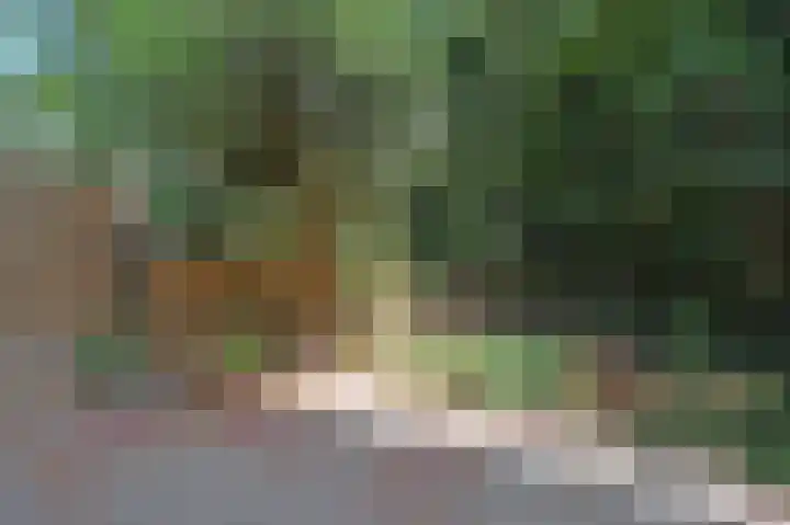 Elzendreef 619 Voorburg thumbnail 28