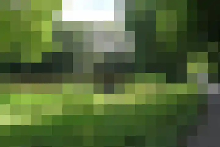 Elzendreef 619 Voorburg thumbnail 29