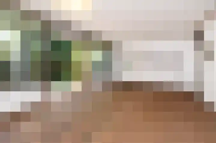 Elzendreef 619 Voorburg thumbnail 6