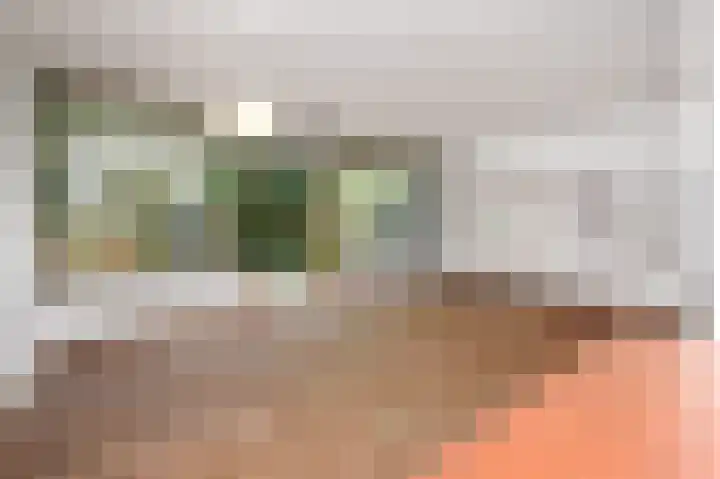 Elzendreef 619 Voorburg thumbnail 8