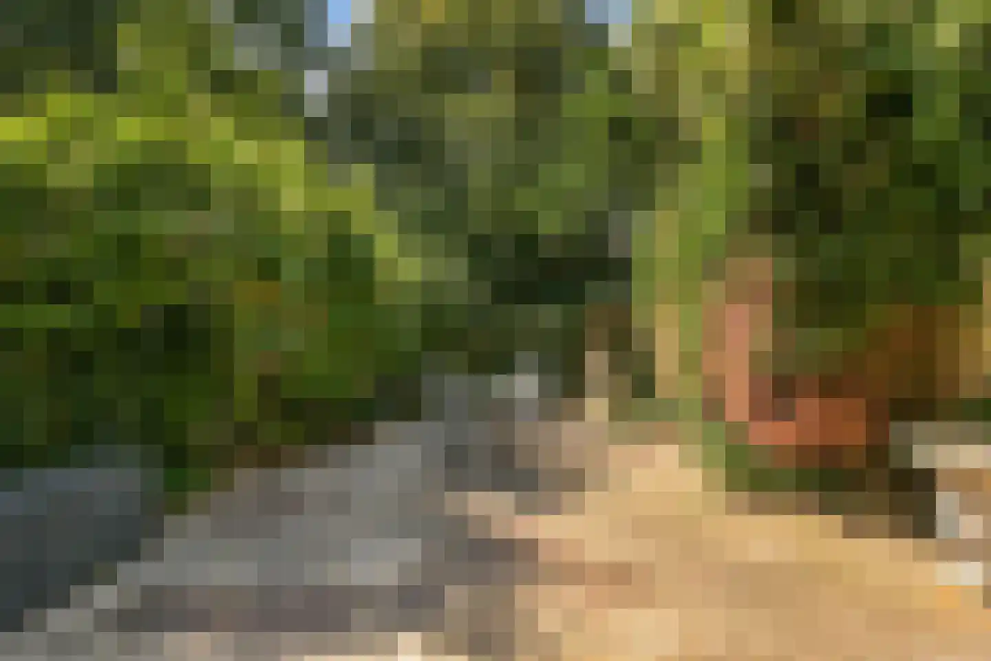 Elzendreef 629 Voorburg thumbnail 10