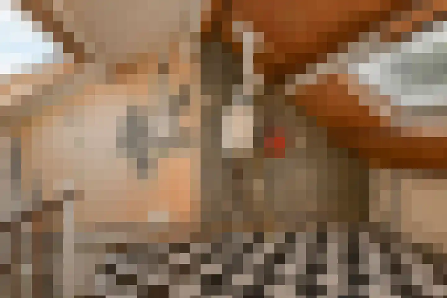 Elzendreef 629 Voorburg thumbnail 34