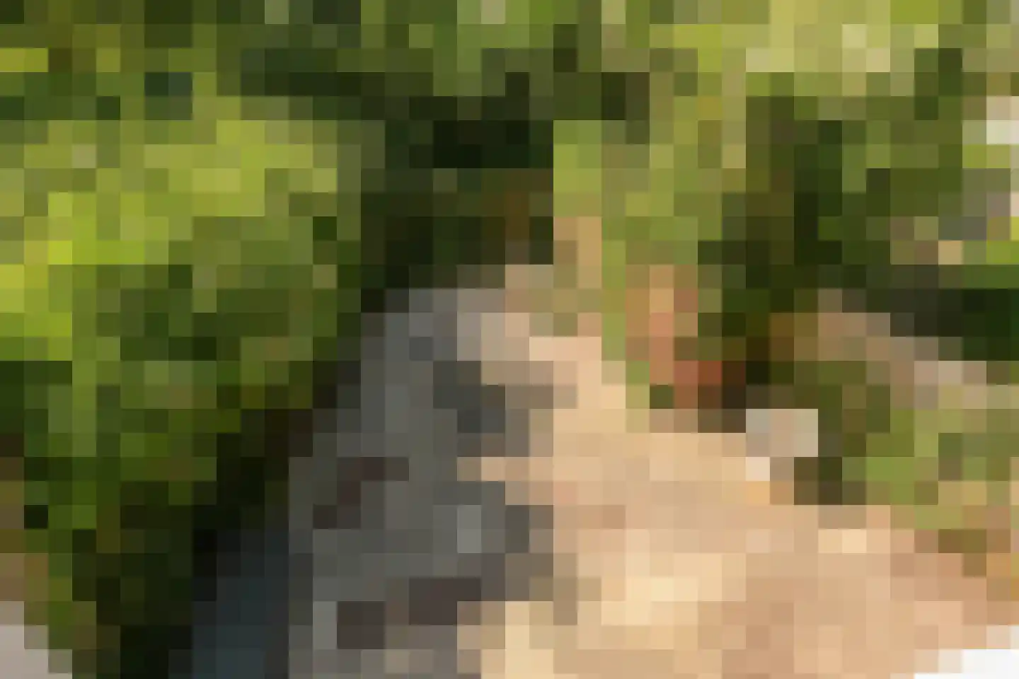 Elzendreef 629 Voorburg thumbnail 41