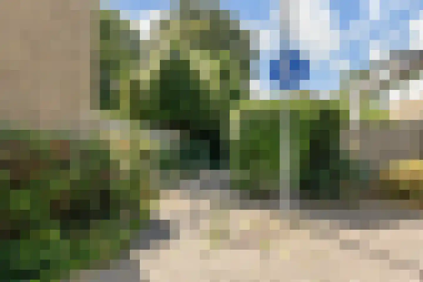 Elzendreef 629 Voorburg thumbnail 46